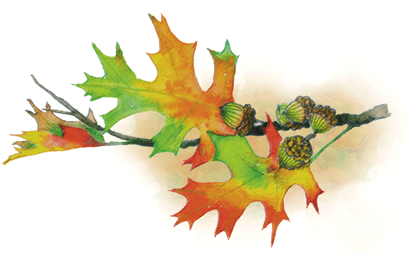 fall-leaves fall-leaves